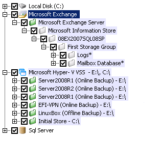 Automatically lists all available data based on the backup type you selected